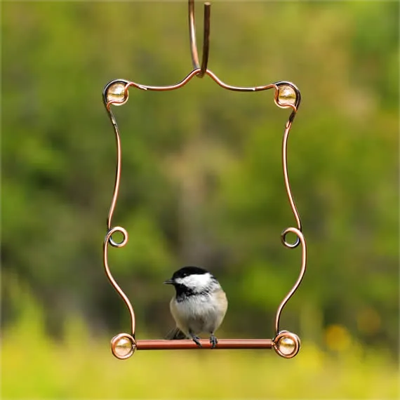 Beaded Hummingbird Perch