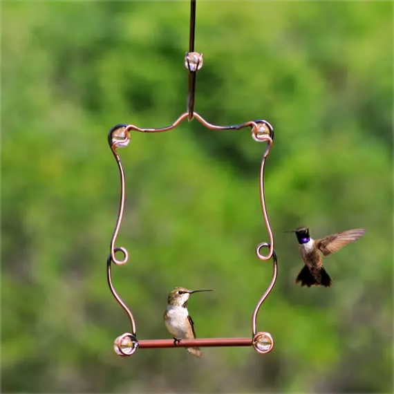 Beaded Hummingbird Perch