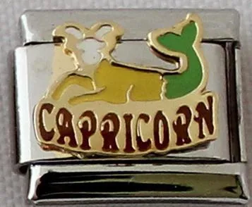 Capricorn Colour 9mm Charm