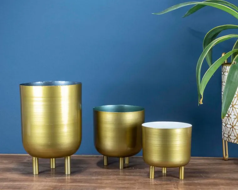 Gold Planters