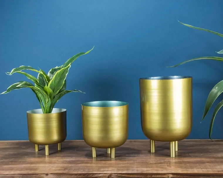 Gold Planters