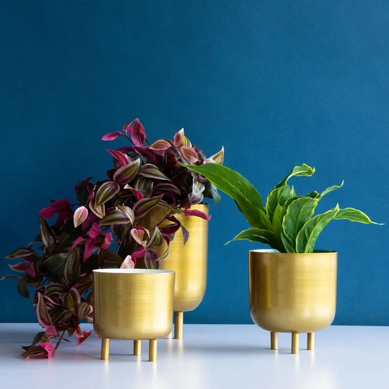 Gold Planters