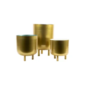 Gold Planters