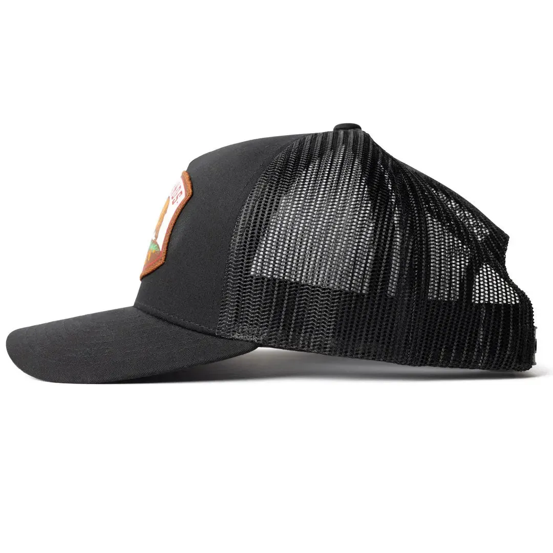 Homegrown California Curved Brim Hat