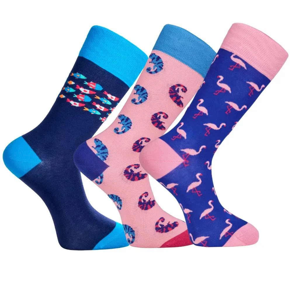 Men’s Dress Socks Fun Gift Box