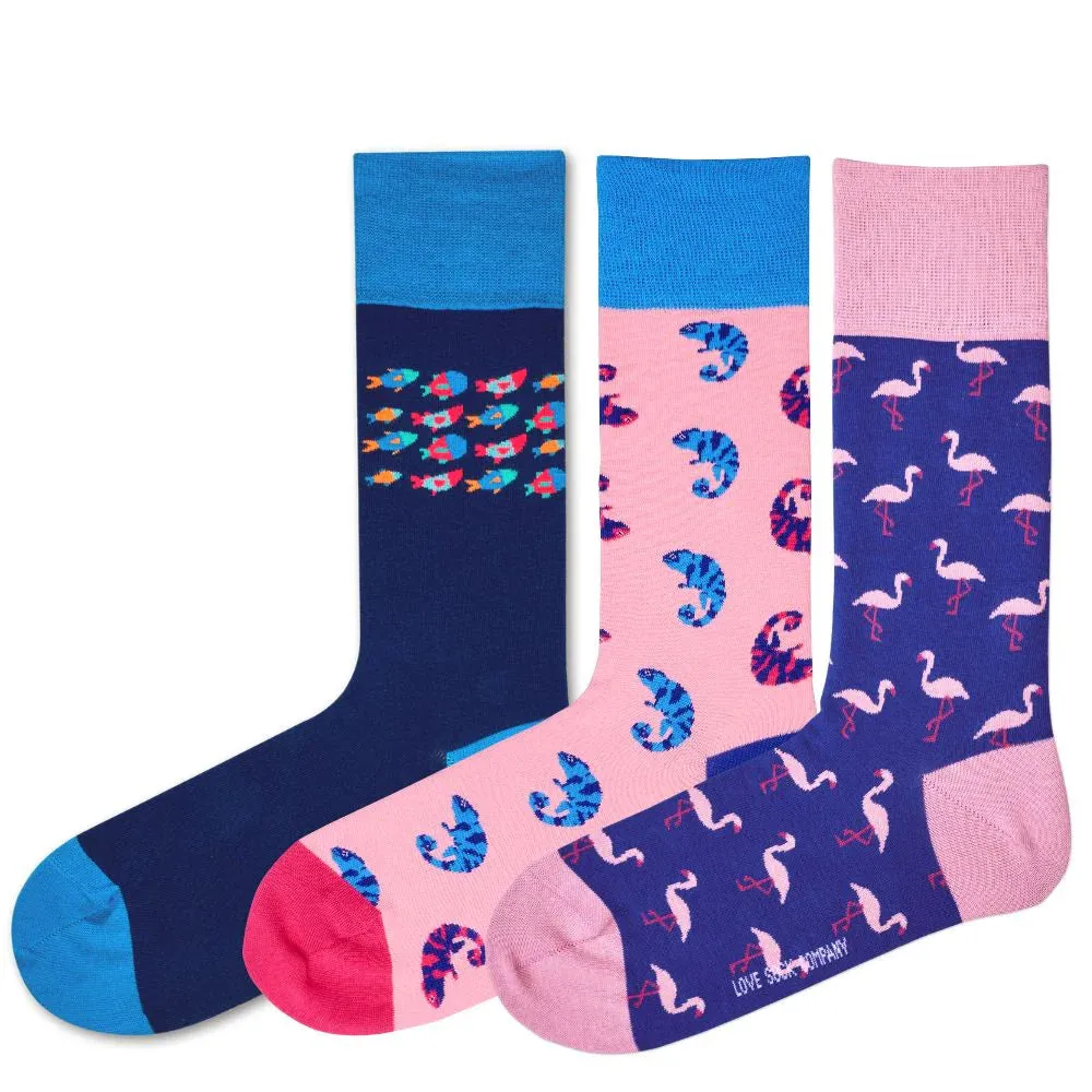 Men’s Dress Socks Fun Gift Box