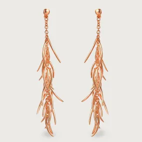 Molto Drop Earrings