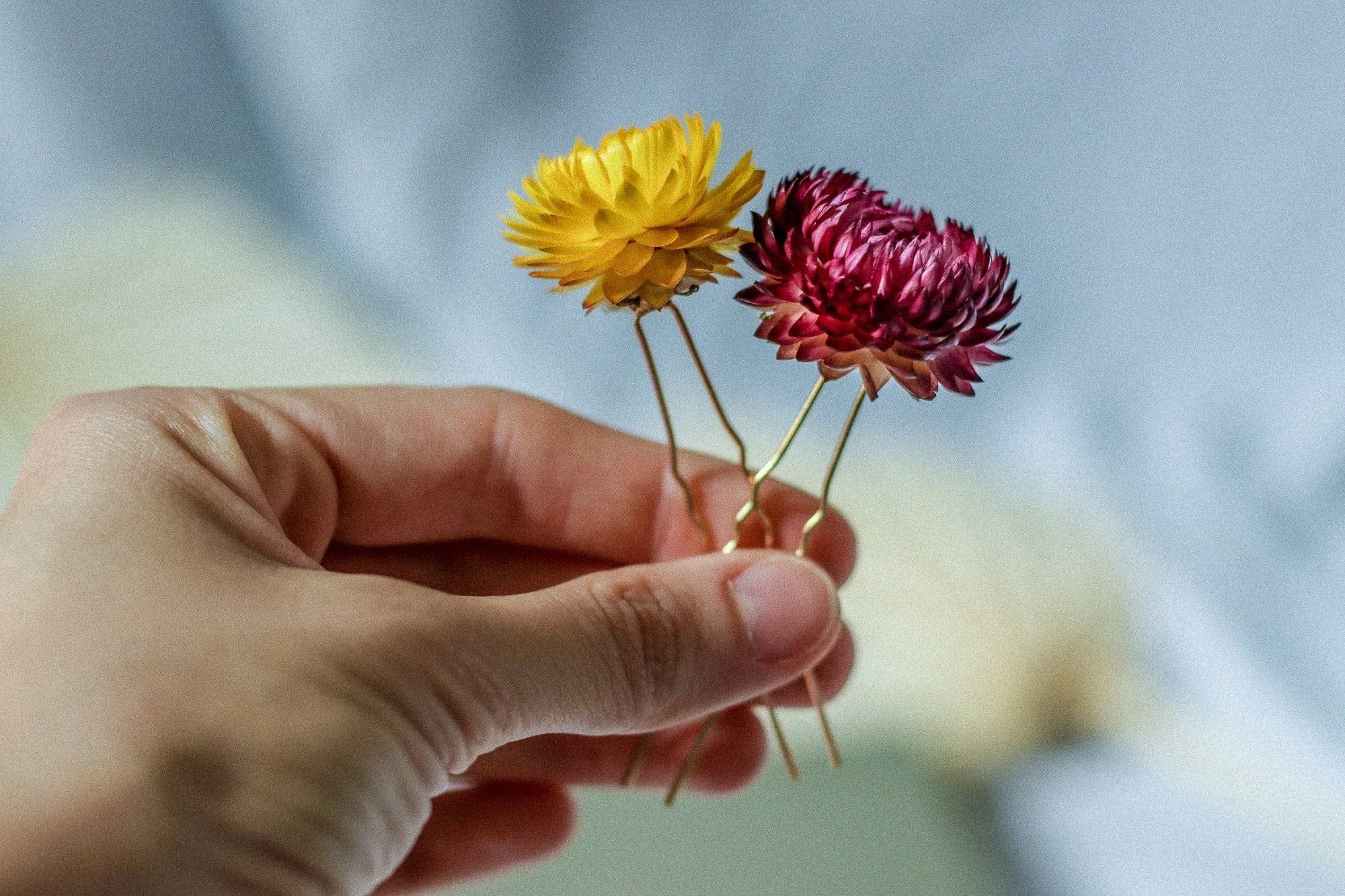 Real Dried Flower Hair Pins, Rustic Wedding hair Pins