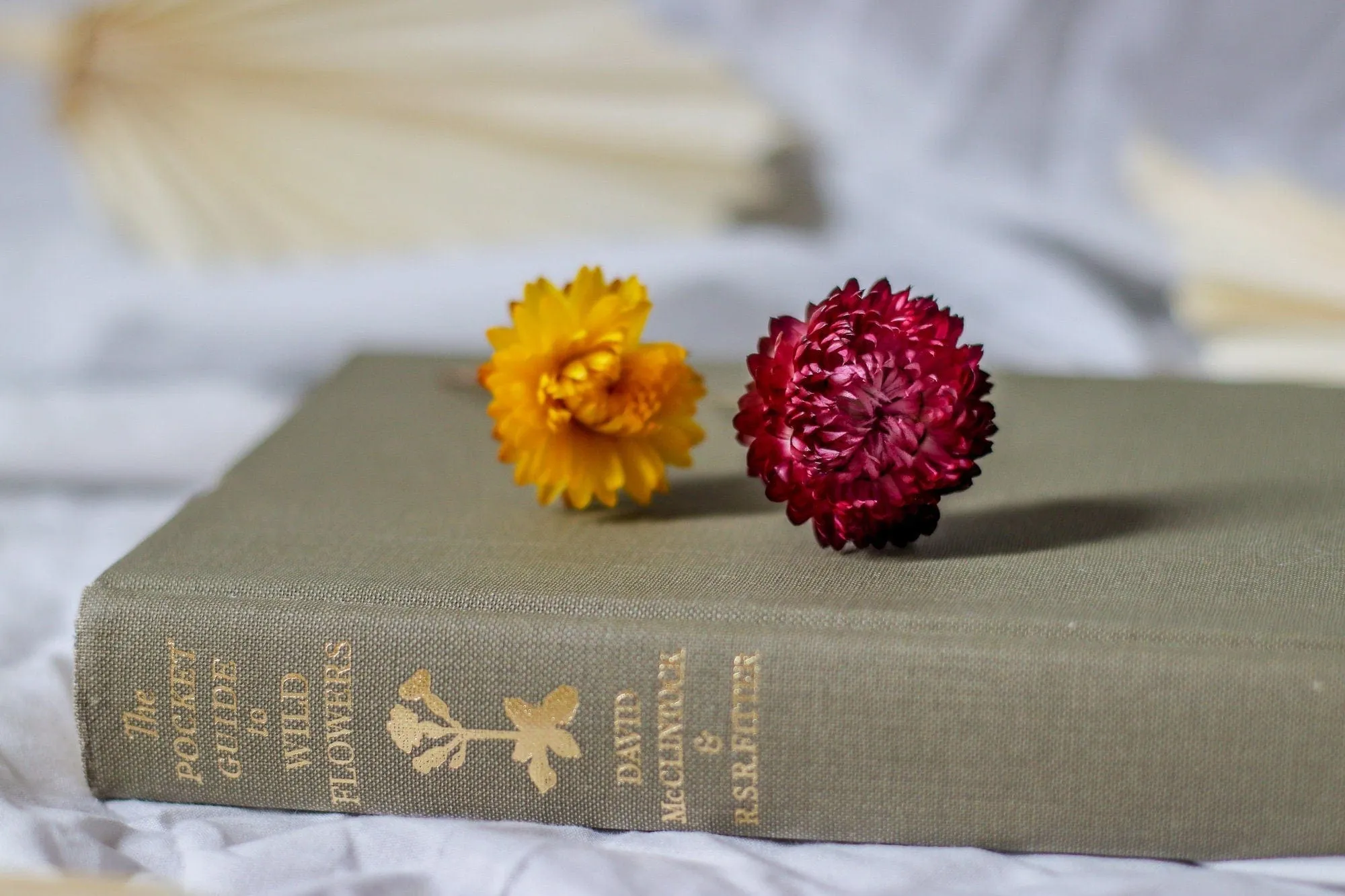 Real Dried Flower Hair Pins, Rustic Wedding hair Pins