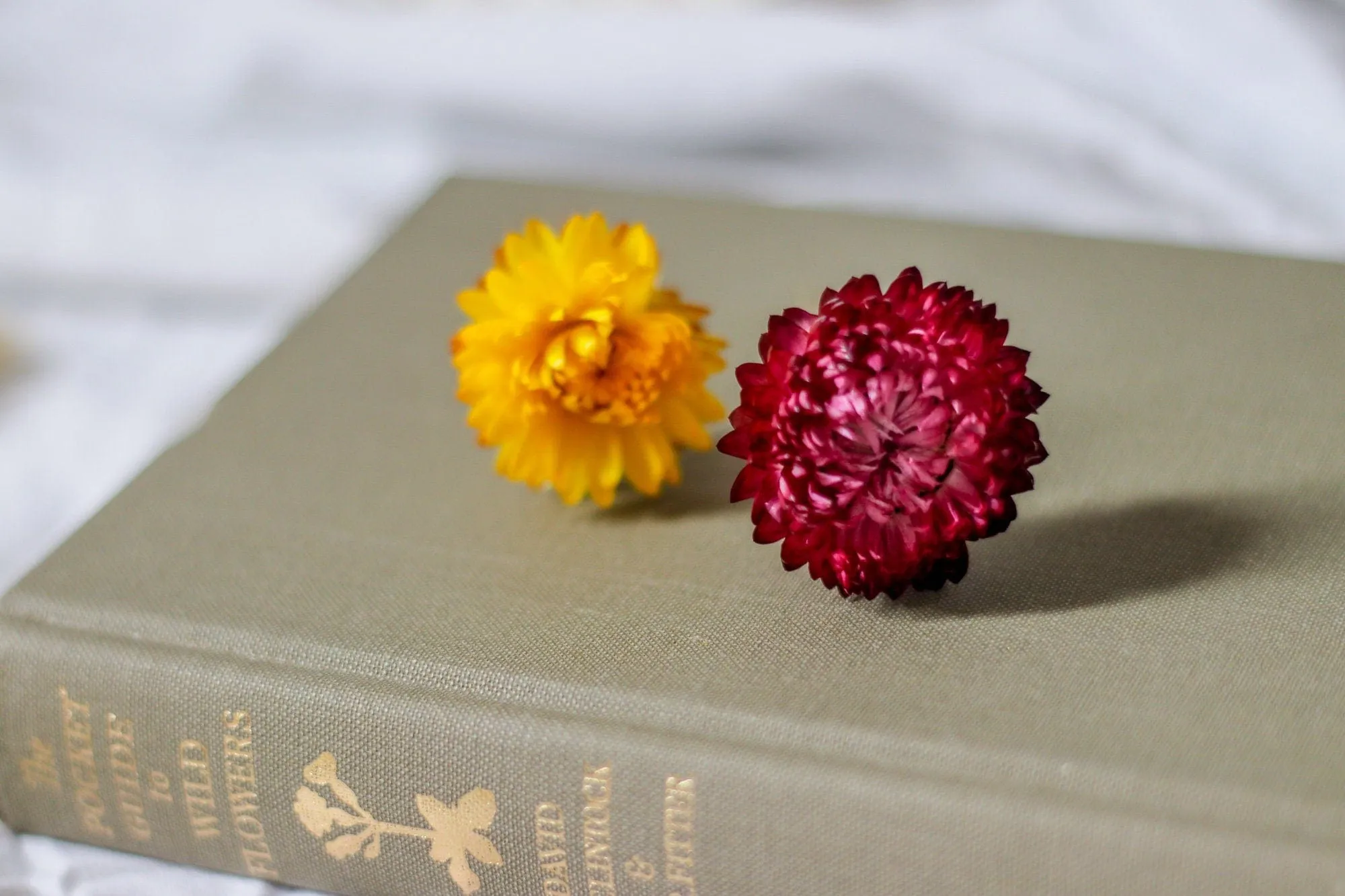 Real Dried Flower Hair Pins, Rustic Wedding hair Pins